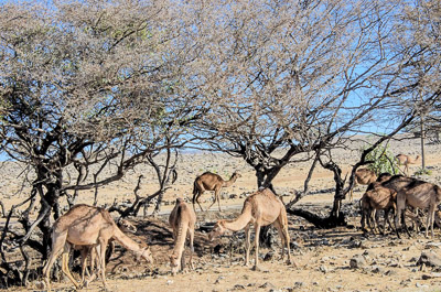 Oman_017.jpg