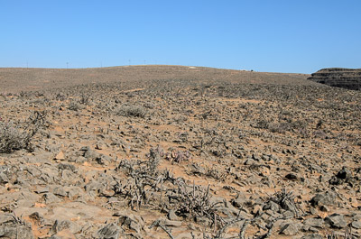 Oman_022.jpg
