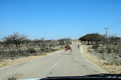 Oman_024.jpg