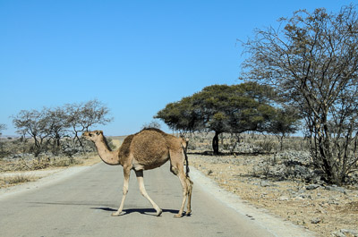 Oman_025.jpg
