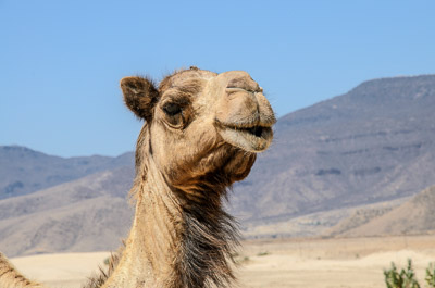 Oman_048.jpg